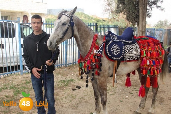 torath days 0304 (54).JPG